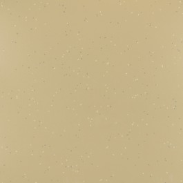 Antique Paradise (RRO-506)