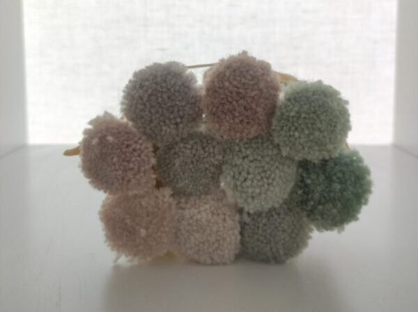 Oriental Express Belmond